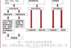 肉食加工爆料流程视频教程,揭秘肉类加工全过程