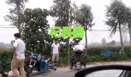 杞县三轮车最新爆料事件,事故真相与公众关注的焦点